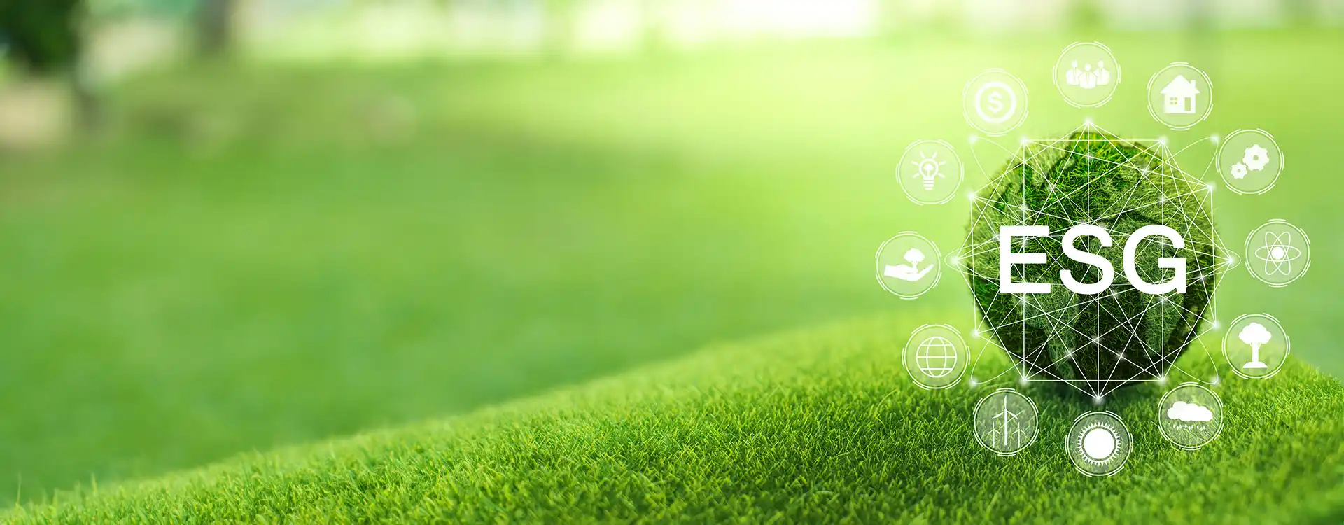 How do you profit from your sustainability How do you profit from your sustainability investment?